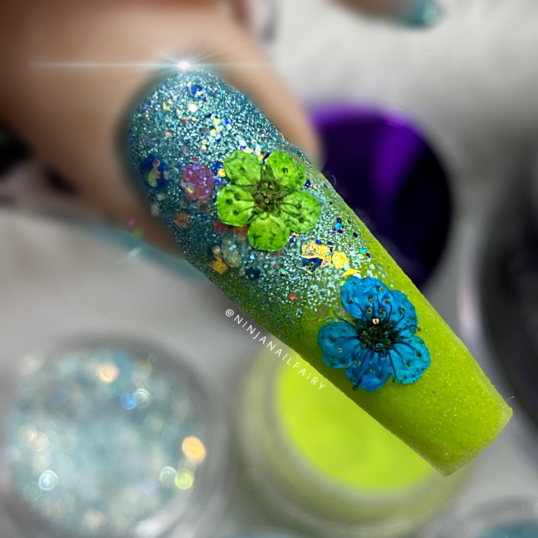 CIRCUS Coloured Acrylic Powder Collection x 13pcs