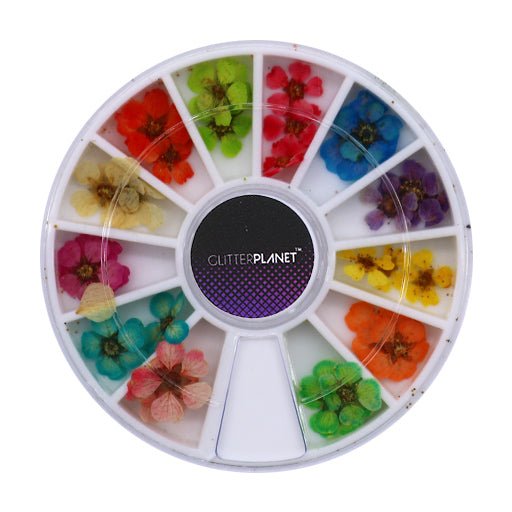 Dried Flowers - Nail Art Wheel - Glitter Planet
