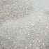 Loose Nail Glitter | Silver Lights