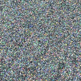 Disco Fever -  Silver Holographic Nail Glitter - Glitter Planet