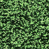 Loose Nail Glitter | Green Grass Biodegradable